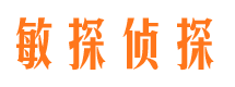 麟游市调查公司